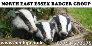 North East Essex Badger Group