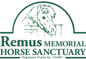 Remus Memorial Horse Sanctuary