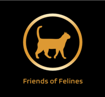 Friends of Felines