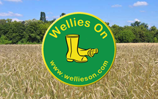 Wellies On Community Interest Company