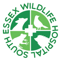 South Essex Wildlife Hospital