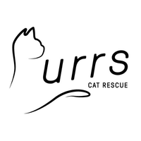 Purrs Cat Rescue