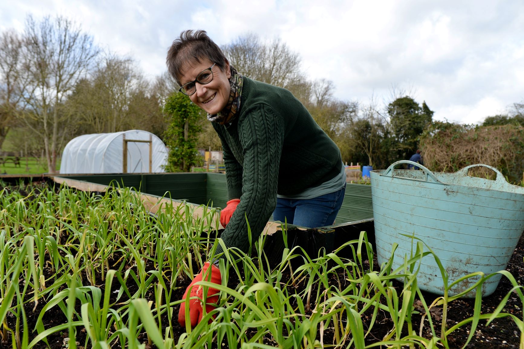 Lady planting vegetables in raised beds