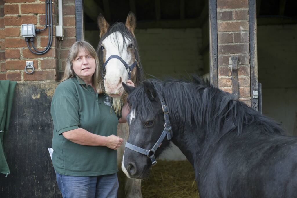 Lady holding two horses